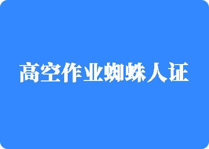 大鸡巴肏大逼视频直播高空作业蜘蛛人证